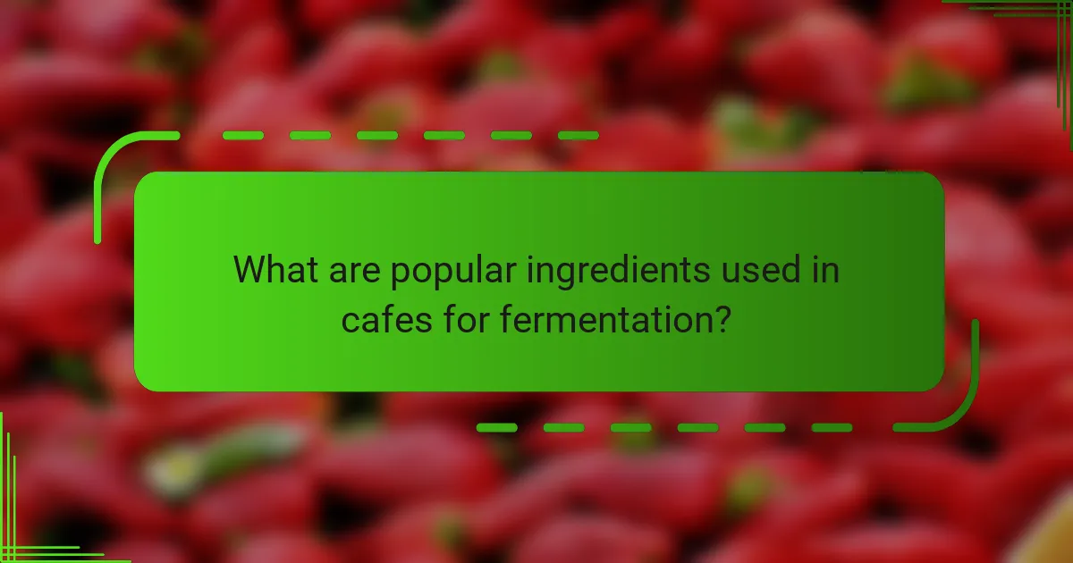 What are popular ingredients used in cafes for fermentation?